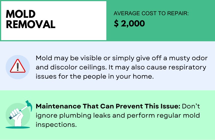 Mold Removal Most Expensive Home Repairs | Alvin Tapia Homes
