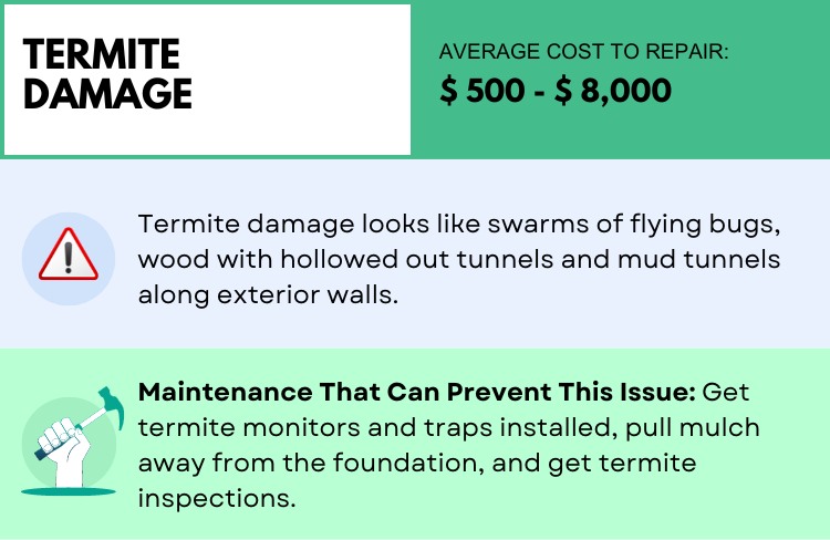 Termite Damage | Most Expensive Home Repairs | Alvin Tapia Homes